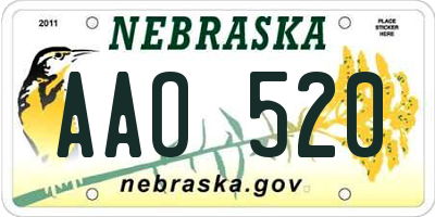 NE license plate AAO520