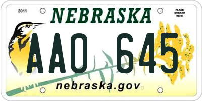 NE license plate AAO645