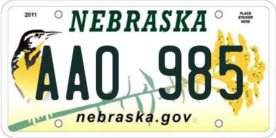 NE license plate AAO985