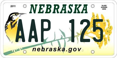 NE license plate AAP125