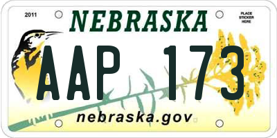 NE license plate AAP173