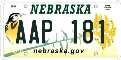 NE license plate AAP181