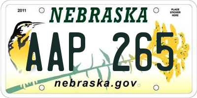 NE license plate AAP265