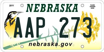 NE license plate AAP273