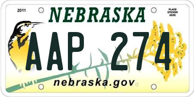 NE license plate AAP274