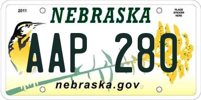 NE license plate AAP280