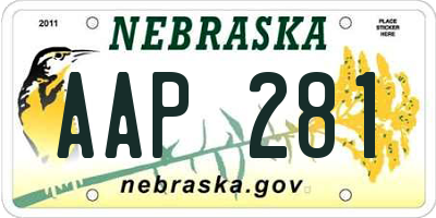 NE license plate AAP281