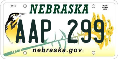 NE license plate AAP299