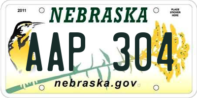 NE license plate AAP304