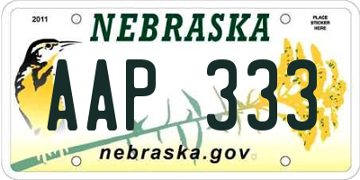 NE license plate AAP333
