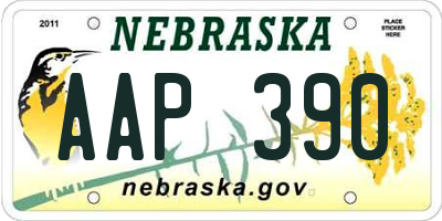 NE license plate AAP390