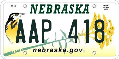 NE license plate AAP418