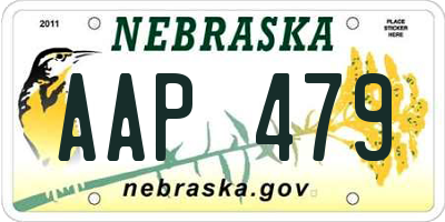 NE license plate AAP479