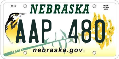 NE license plate AAP480