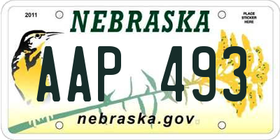 NE license plate AAP493