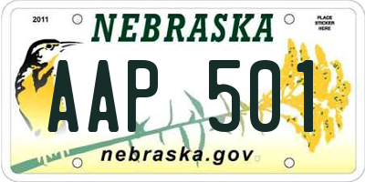 NE license plate AAP501