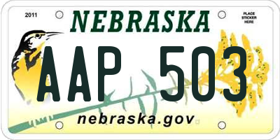 NE license plate AAP503