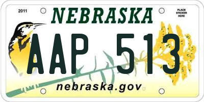 NE license plate AAP513