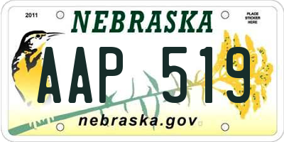 NE license plate AAP519