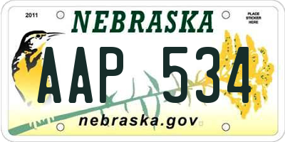 NE license plate AAP534