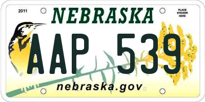 NE license plate AAP539