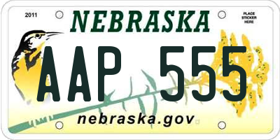 NE license plate AAP555