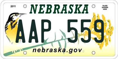 NE license plate AAP559