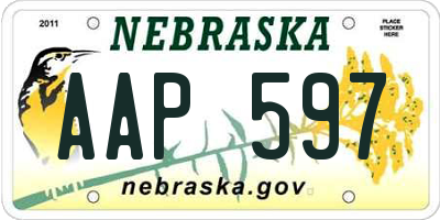 NE license plate AAP597