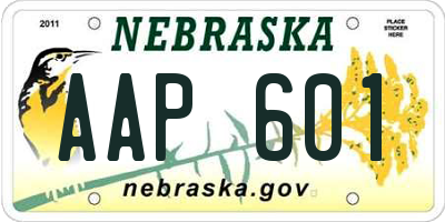 NE license plate AAP601