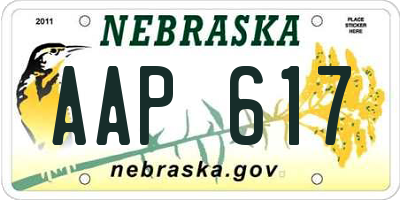 NE license plate AAP617