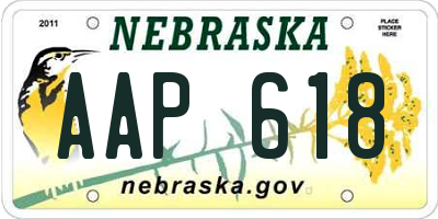 NE license plate AAP618