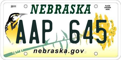 NE license plate AAP645