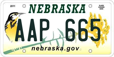 NE license plate AAP665