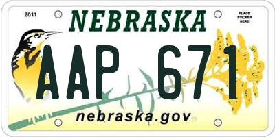 NE license plate AAP671
