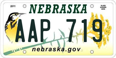 NE license plate AAP719