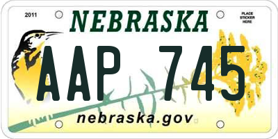 NE license plate AAP745