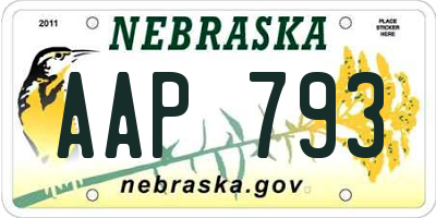 NE license plate AAP793