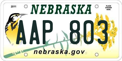 NE license plate AAP803
