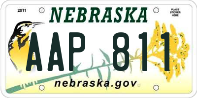 NE license plate AAP811