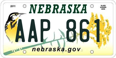 NE license plate AAP861