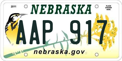 NE license plate AAP917