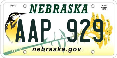 NE license plate AAP929