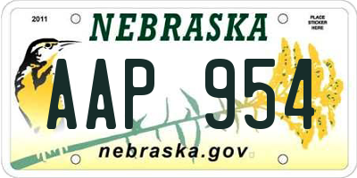 NE license plate AAP954