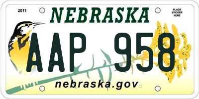 NE license plate AAP958