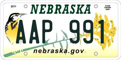 NE license plate AAP991