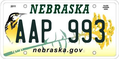 NE license plate AAP993