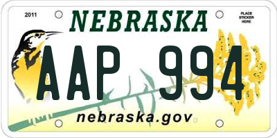 NE license plate AAP994