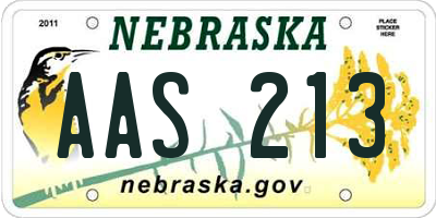 NE license plate AAS213