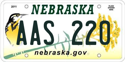 NE license plate AAS220