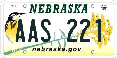 NE license plate AAS221